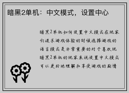 暗黑2单机：中文模式，设置中心